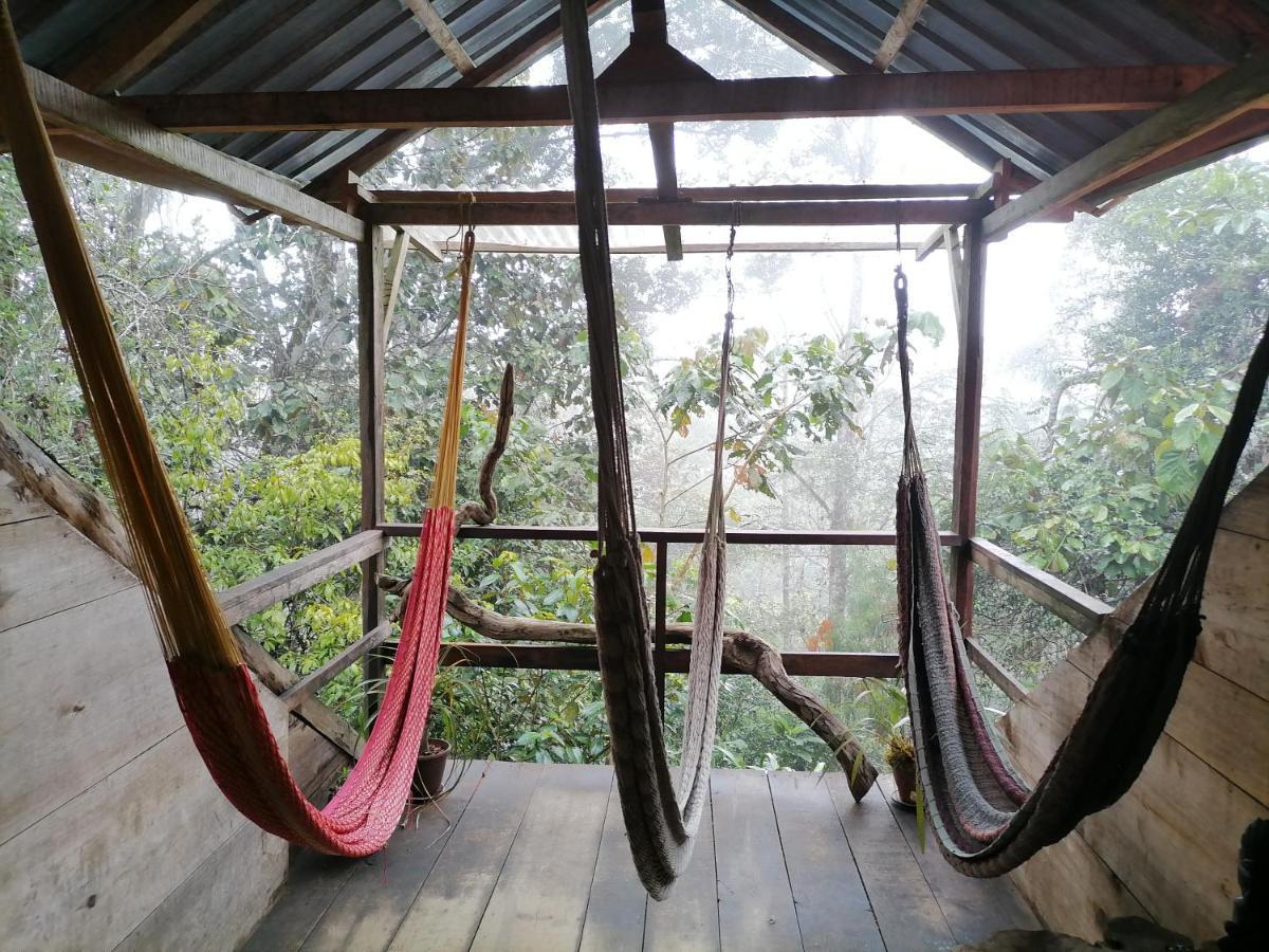 Paraiso Verde Chijou Bagian luar foto