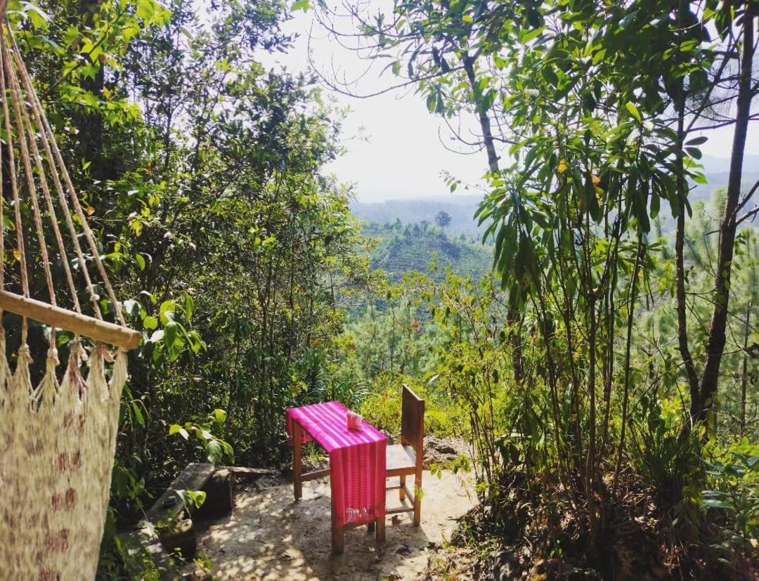 Paraiso Verde Chijou Bagian luar foto
