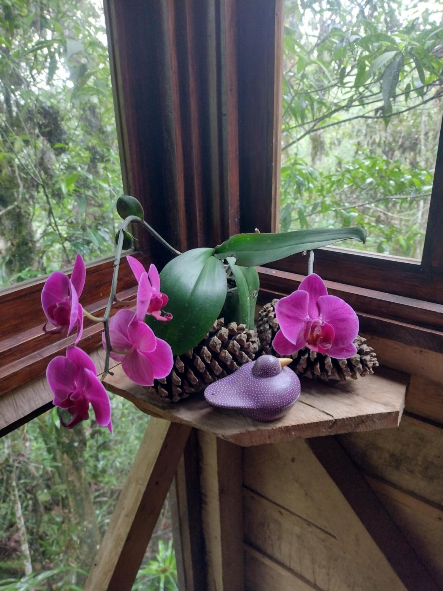 Paraiso Verde Chijou Bagian luar foto