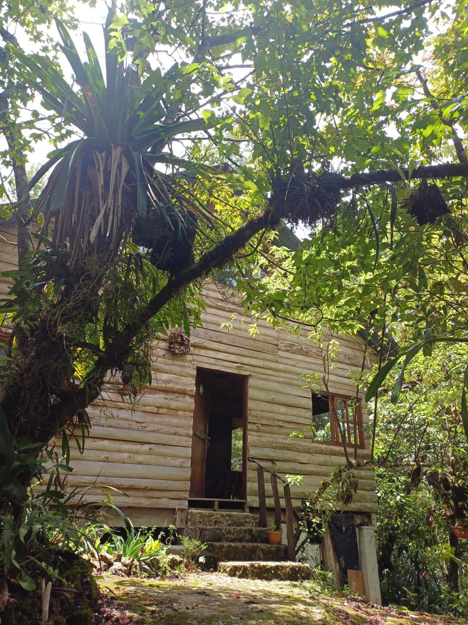 Paraiso Verde Chijou Bagian luar foto