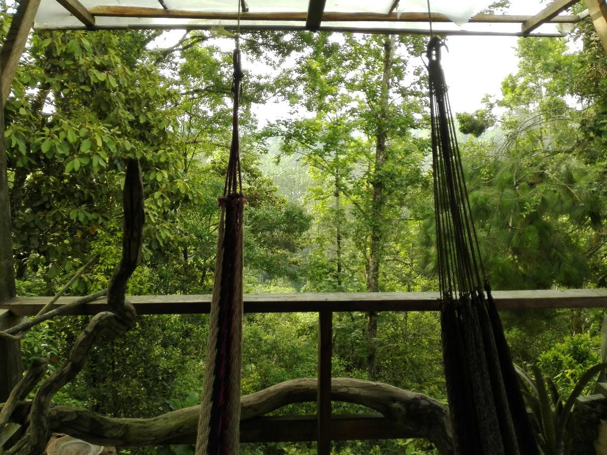 Paraiso Verde Chijou Bagian luar foto