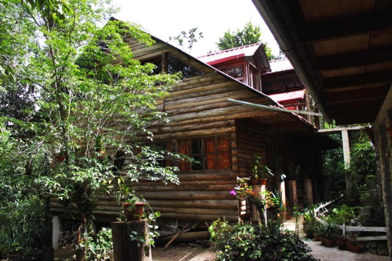 Paraiso Verde Chijou Bagian luar foto
