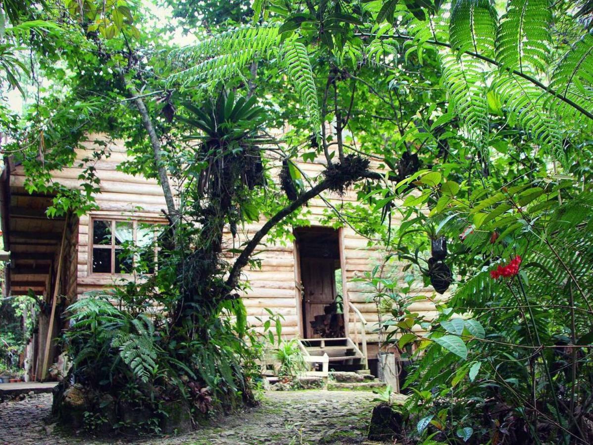 Paraiso Verde Chijou Bagian luar foto