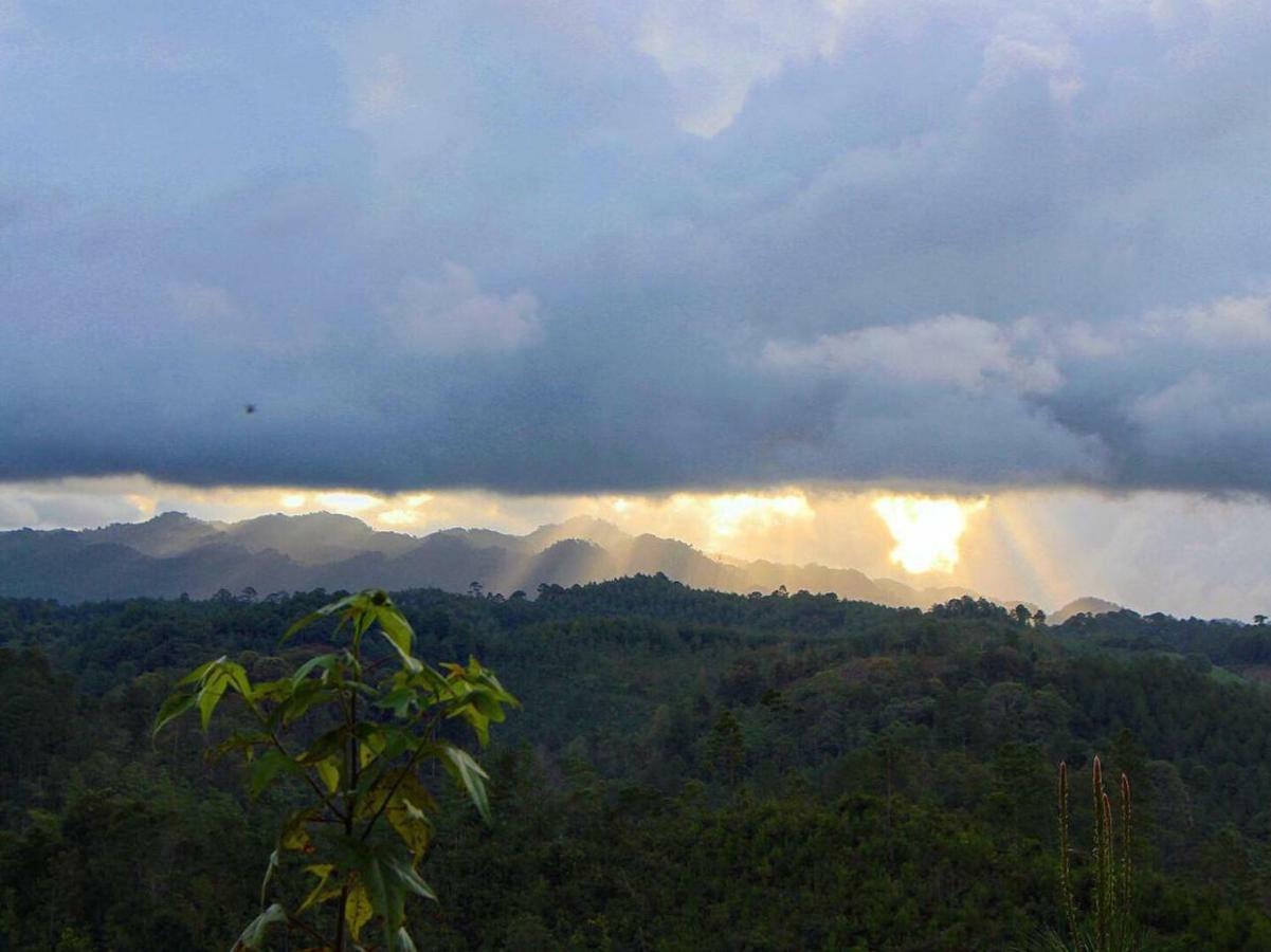 Paraiso Verde Chijou Bagian luar foto