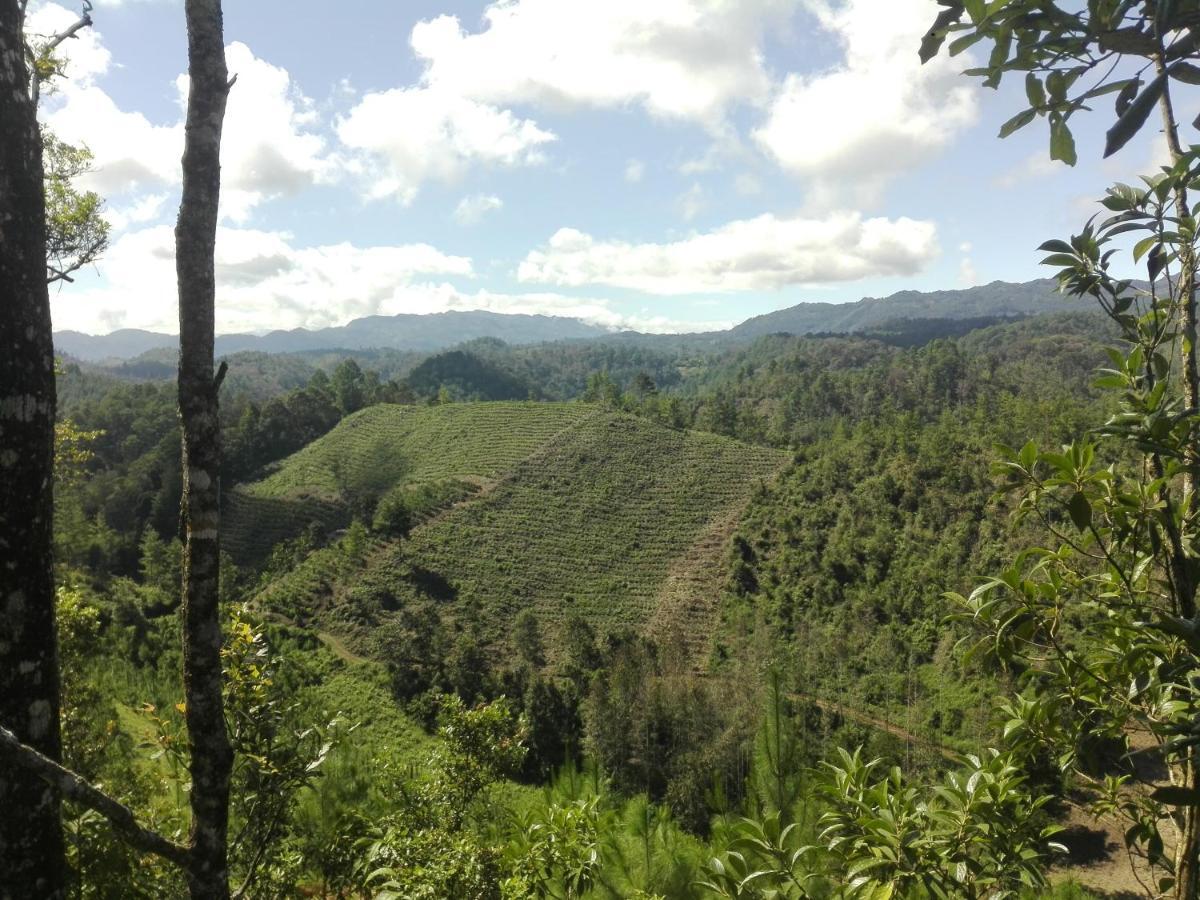 Paraiso Verde Chijou Bagian luar foto
